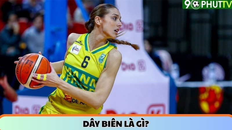 Dây biên là gì?