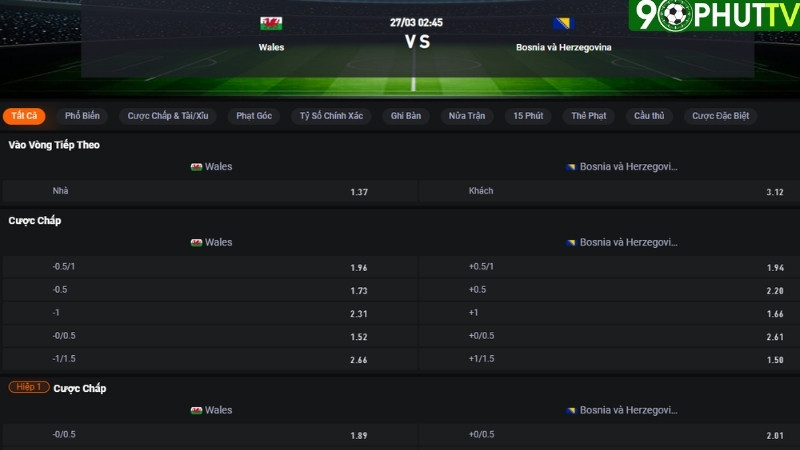 Wales vs Bosnia